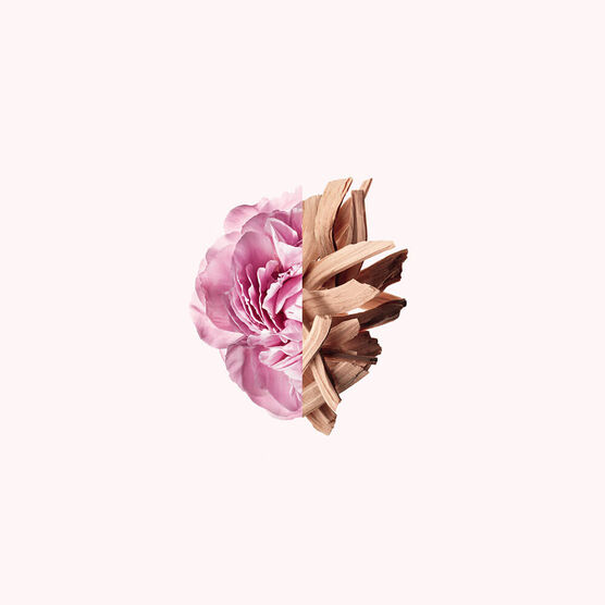 Perfume Givenchy Irresistible Feminino Eau de Toilette